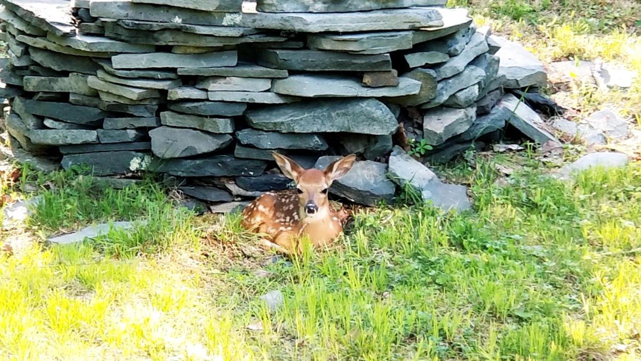 The Pocono'S Retreat With A Gameroom, Firepit, And Lake Bushkill Eksteriør billede